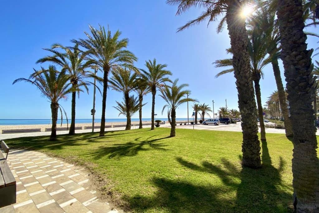 Nereo 7 Primera Linea de Playa San Juan Piscina, Parking wifi Inmobiliaria Leo Alicante Bagian luar foto